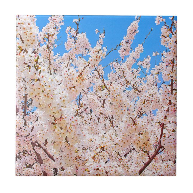 Carreau Les cerisiers en fleurs (Devant)