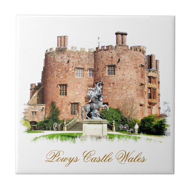 CARREAU LES CHÂTEAUX BIEN ÉQUIPÉS (Devant)