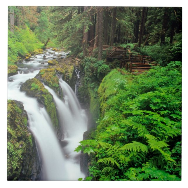 Carreau Les chutes de Sol Duc dans le parc national Olympi (Devant)