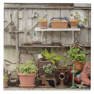 Carreau Les décorations sur la clôture en bois, île de Cat