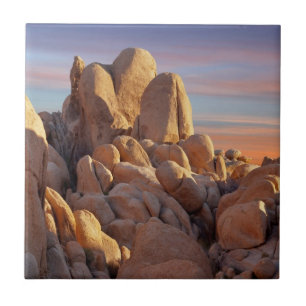 Carreau Les Etats-Unis, la Californie, parc national