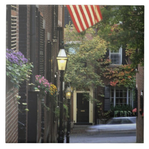 Carreau Les Etats-Unis, le Massachusetts, Boston, colline