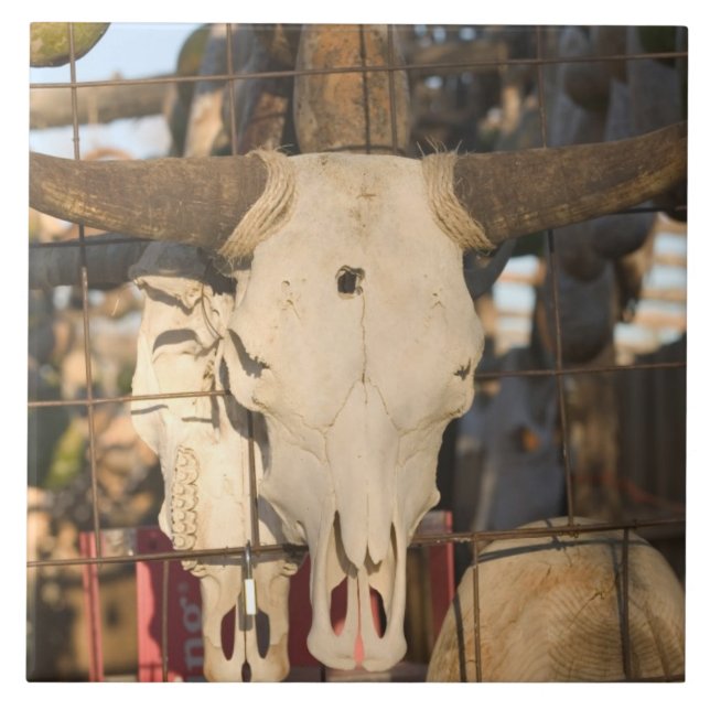 Carreau Les Etats-Unis, Nouveau Mexique, Mesilla : Plaza (Devant)