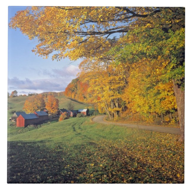 Carreau Les Etats-Unis, Vermont, ferme de Jenne. La chute (Devant)