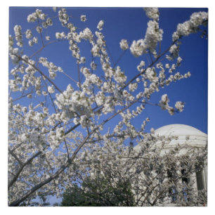 Carreau Les Etats-Unis, Washington DC. Festival et 2 de