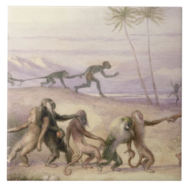 Carreau Les façons et les coutumes des singes (Devant)