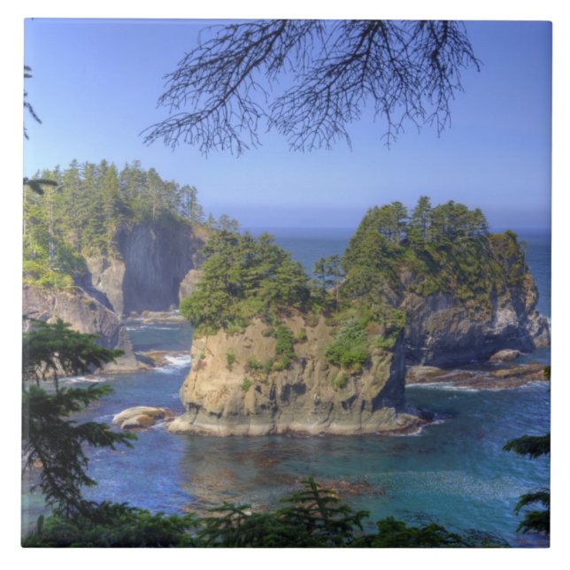 Carreau Les fonds marins, les terres tribales de la nation (Devant)
