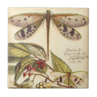 Les libellules aux Feuilles et aux fruits