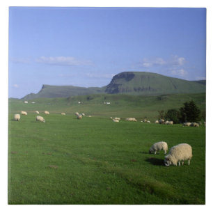 Carreau Les montagnes de Quiraing, île de Skye, Highlands,