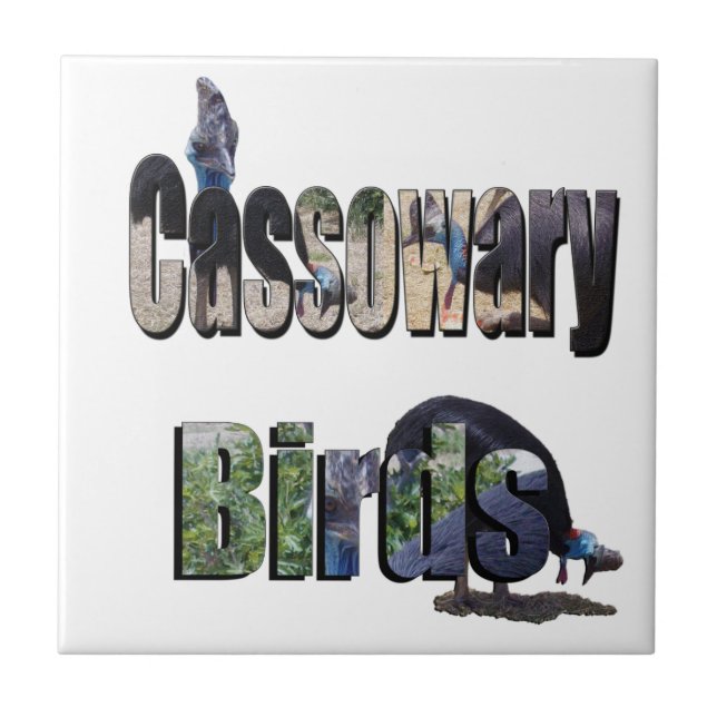 Carreau Les oiseaux Cassowary est le nom, (Devant)