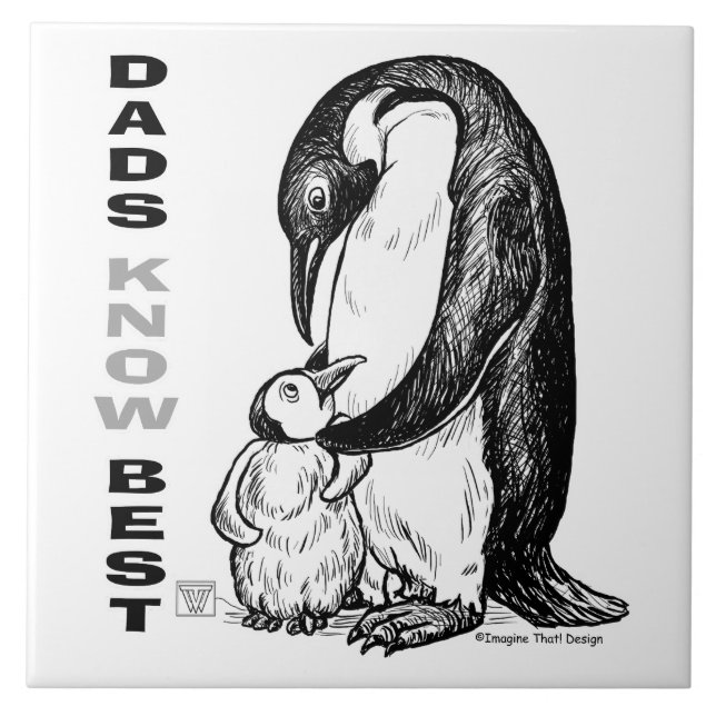 Carreau Les papas connaissent mieux (Devant)