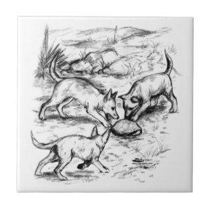 Carreau Les petits coyotes
