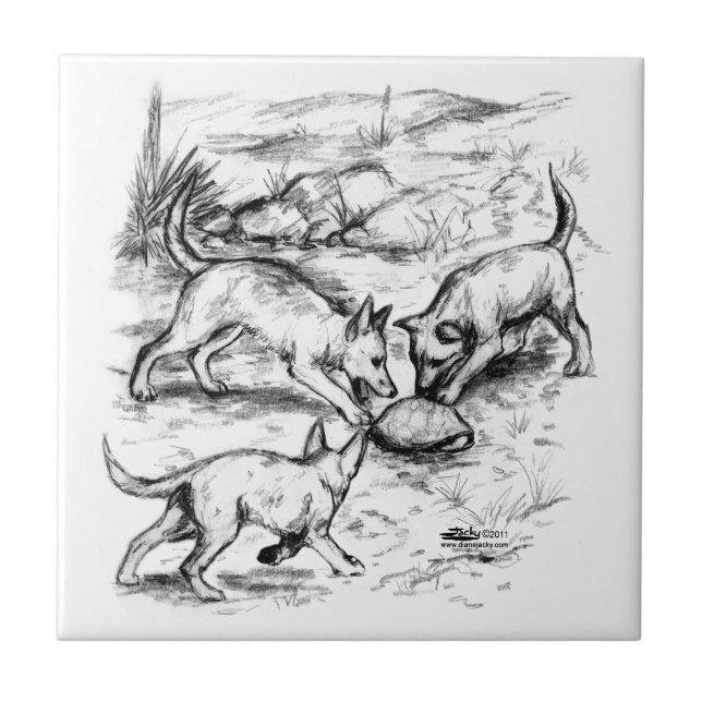 Carreau Les petits coyotes (Devant)
