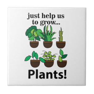 Carreau Les plantes nous aident juste à faire pousser des