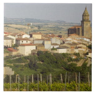 Carreau Les rangées de vignes au premier plan encadrent l