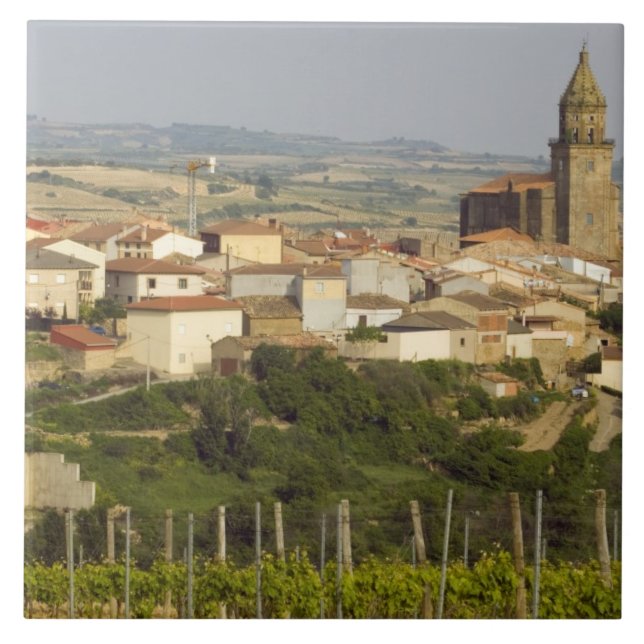 Carreau Les rangées de vignes au premier plan encadrent le (Devant)
