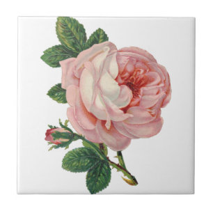 Carreau Les Roses sont roses