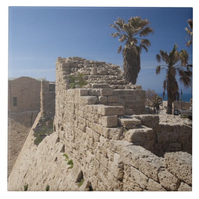 Carreau Les ruines du port de Césarée construites par Héro (Devant)