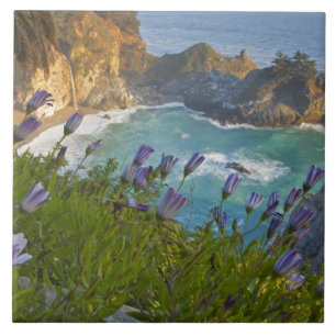 Carreau Les Scenic McWay Falls se jettent sur la plage et