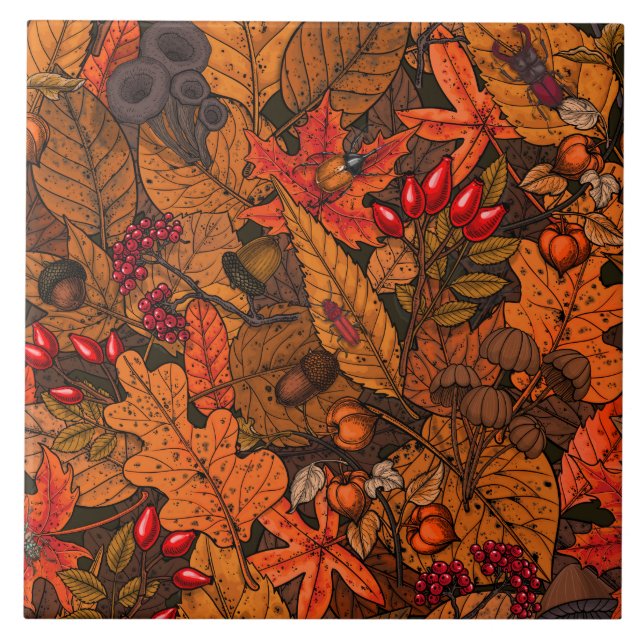 Carreau Les trésors d'automne (Devant)