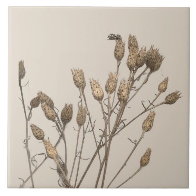 Carreau Les trésors de l'hiver sur un carrelage en céramiq (Devant)