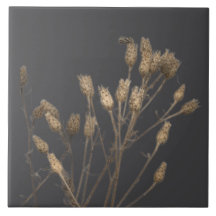 Les trésors de l'hiver sur un carrelage en céramiq