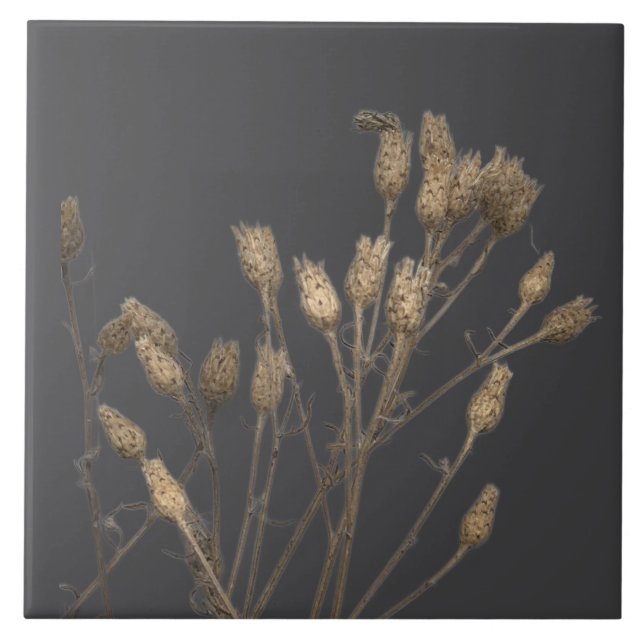 Carreau Les trésors de l'hiver sur un carrelage en céramiq (Devant)