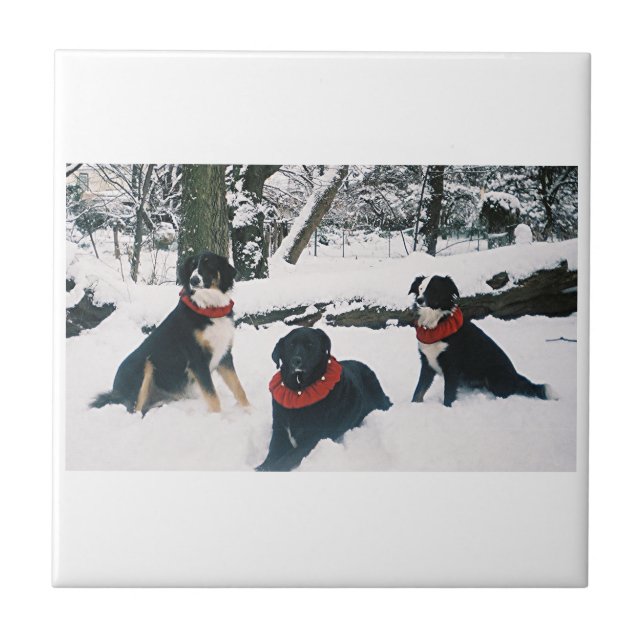 Carreau Les Trois Mousquetaires ! (Devant)