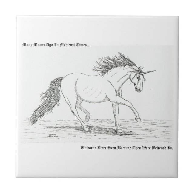 Carreau Les Unicornes sont réelles (Devant)