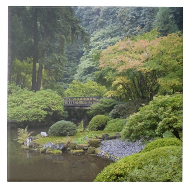 Carreau L'étang de promenade avec le pont de la Lune (Devant)