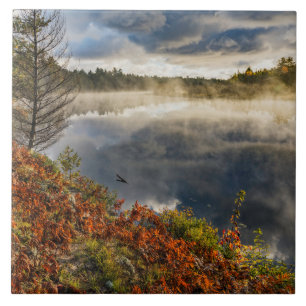 Carreau Lever de soleil sur la rivière Tahquamenon Parad