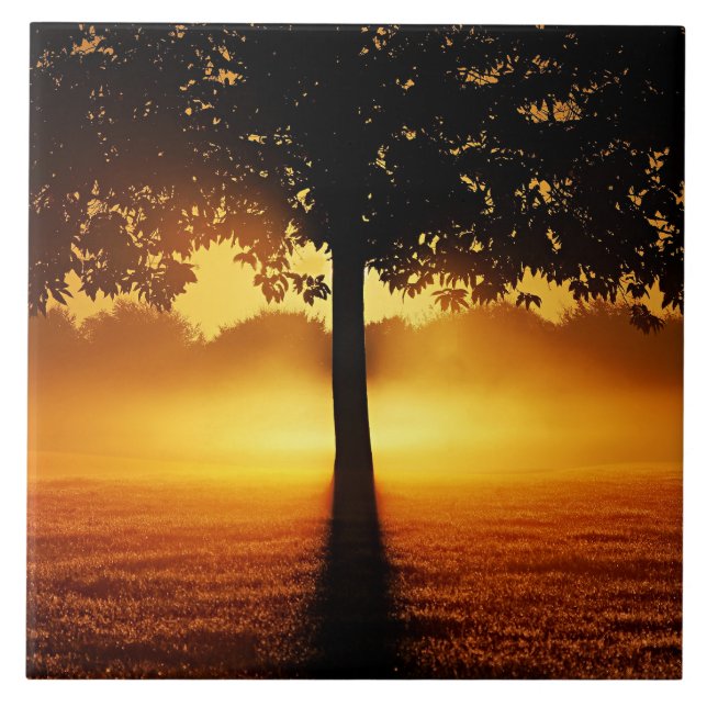 Carreau Lever du soleil, silhouette des arbres, (Devant)