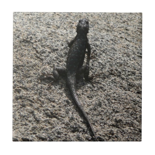 Carreau Lézard noir (Devant)