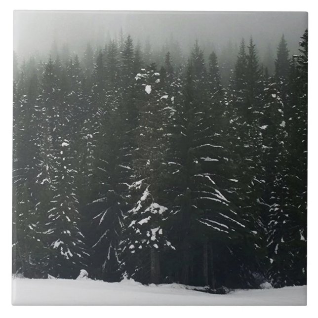 Carreau L'hiver dans la forêt de montagne (Devant)