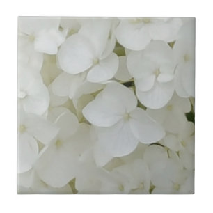 Carreau L'hortensia fleurit la fleur élégante blanche