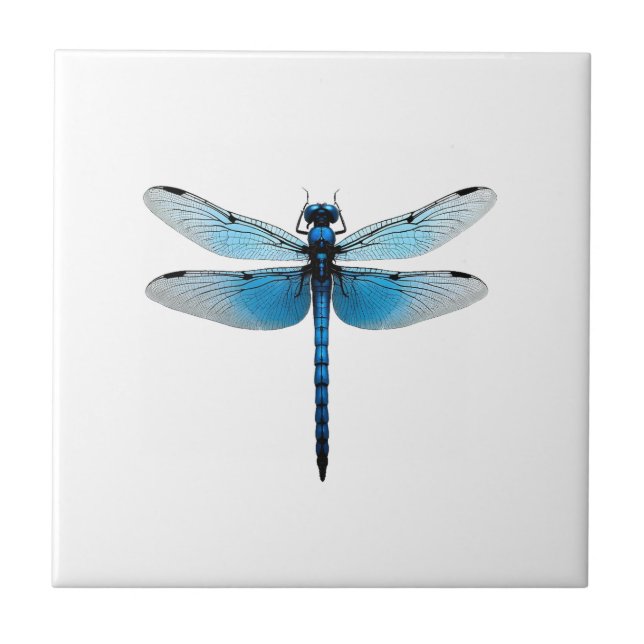 Carreau Libellule bleue - Ento amateur d'insectes faune (Devant)