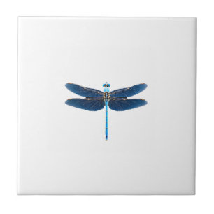 Carreau Libellule bleue - Ento amateur d'insectes faune