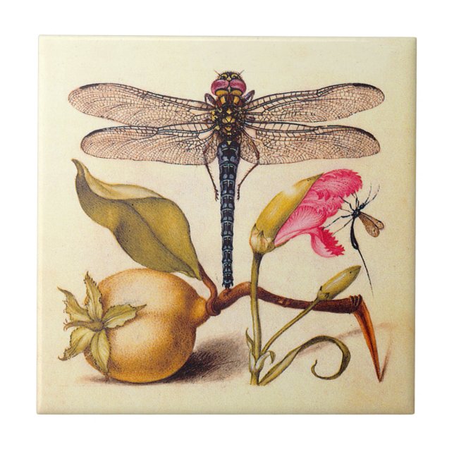 Carreau Libellule Botanique Nature Faune Hoefnagel Art (Devant)