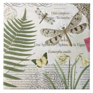 Carreau libellule française vintage moderne