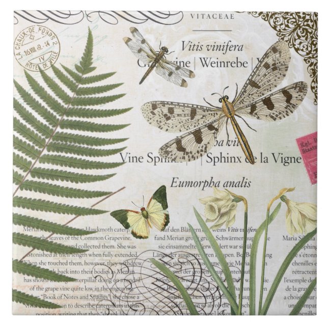 Carreau libellule française vintage moderne (Devant)