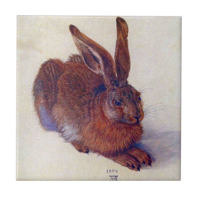 Carreau Lièvre jeune par Albrecht Durer, Art Renaissance (Devant)
