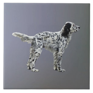 Carreau Liewellin Setter