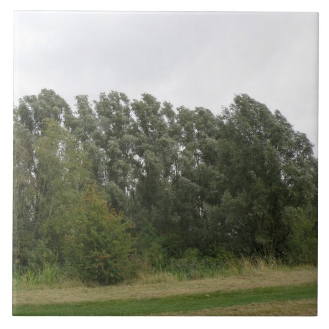 Carreau Ligne d'arbres penchés Carrelage paysage (Devant)