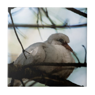 Carreau Ligne principale