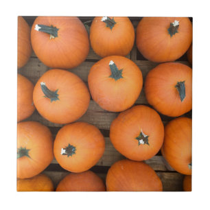 Carreau Lignes citrouilles