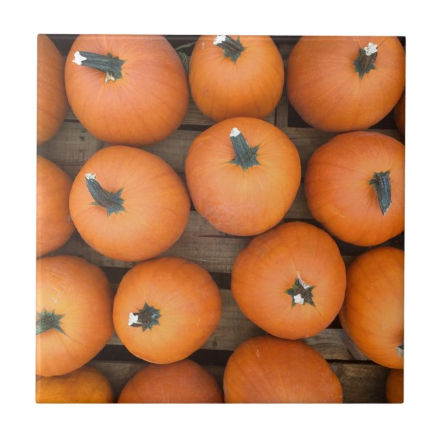 Carreau Lignes citrouilles (Devant)