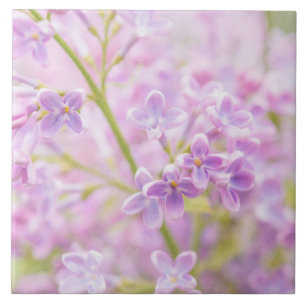 Carreau Lilac Fleurs Mist
