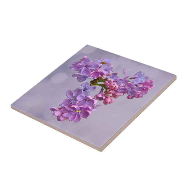 Carreau Lilacs au printemps (Côté)