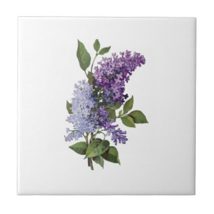 Carreau Lilacs frais - French Country Home Décor