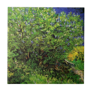 Carreau Lilas par Vincent van Gogh, Fleurs de jardin ancie
